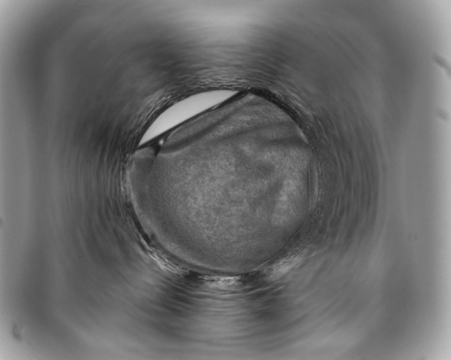 X0000096220288200802081532