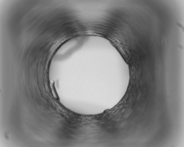 X0000096220289200802081531