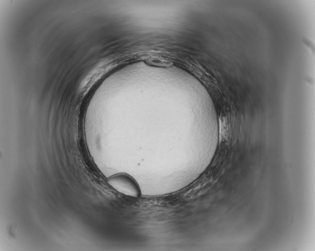 X0000096220291200802081531