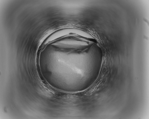 X0000096220292200802081531