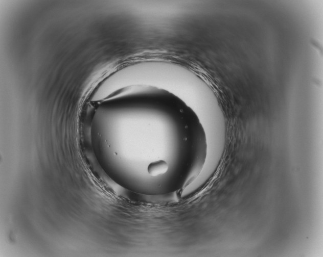 X0000096220293200802081531