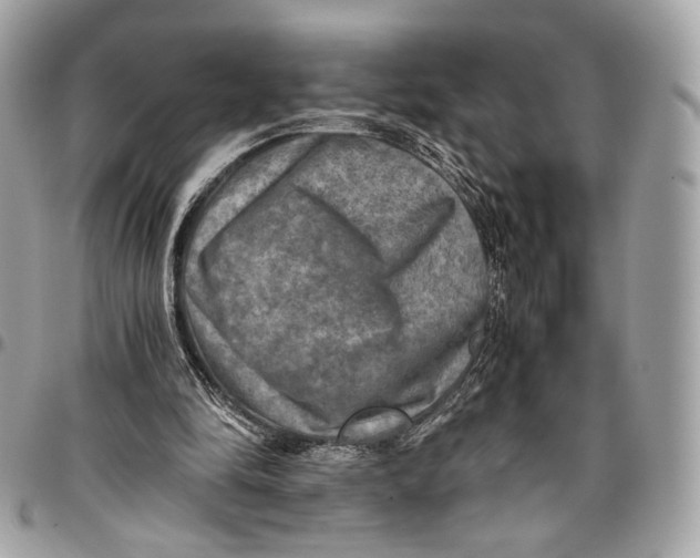 X0000096220294200802081531