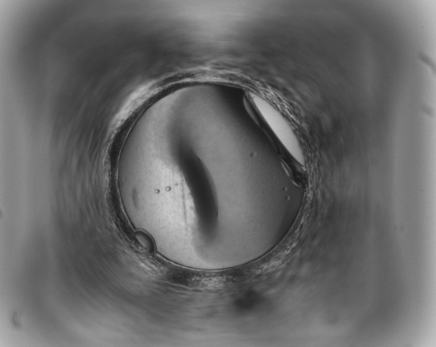 X0000096220295200802081531