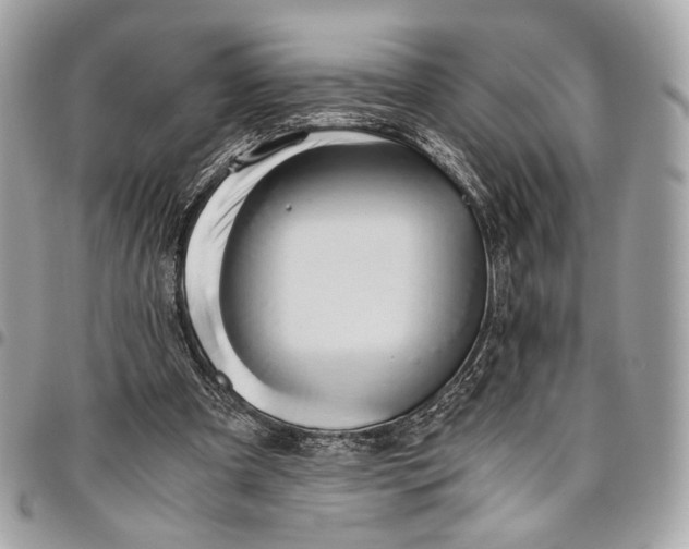 X0000096220297200802081531