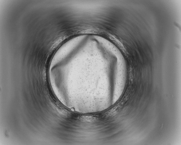 X0000096220298200802081531