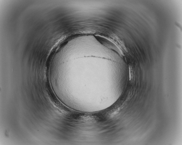 X0000096220300200802081531