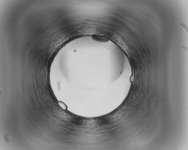 X0000096220301200802081531