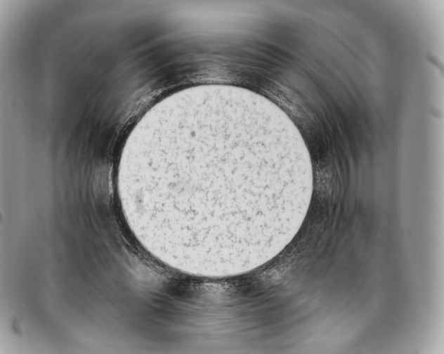 X0000096220302200802081531