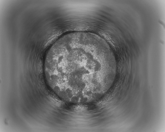 X0000096220303200802081531