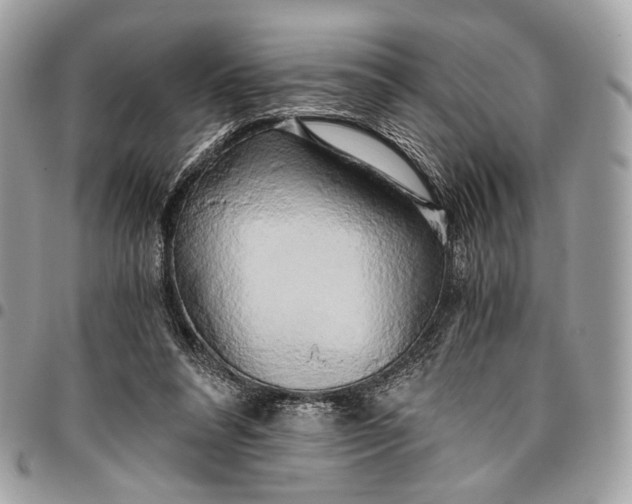 X0000096220304200802081531