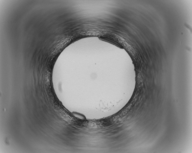 X0000096220305200802081531