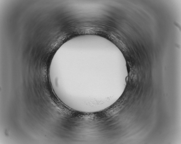 X0000096220306200802081531