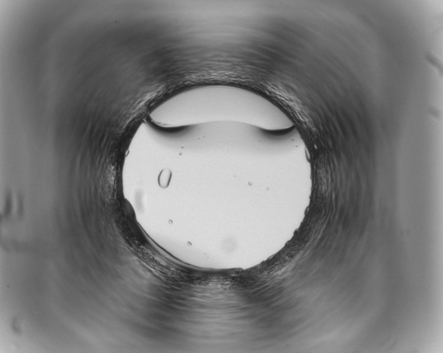 X0000096220308200802081531