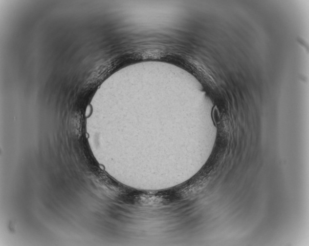 X0000096220311200802081531