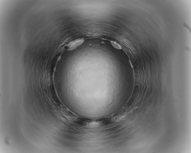 X0000096220312200802081531