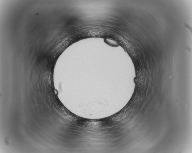 X0000096220313200802081531