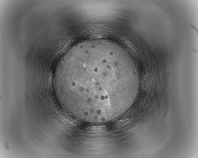 X0000096220314200802081531