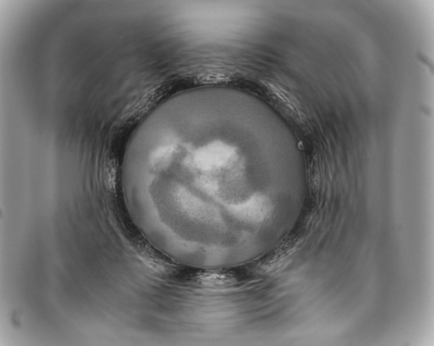 X0000096220315200802081531