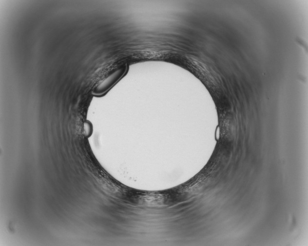 X0000096220317200802081531