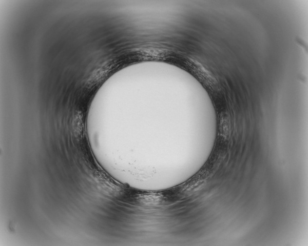 X0000096220318200802081531