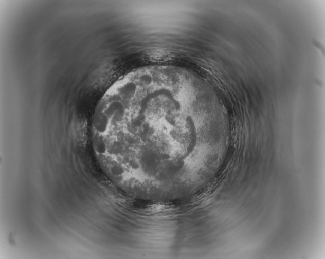 X0000096220319200802081531