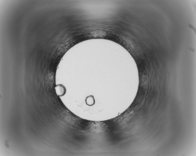 X0000096220321200802081531