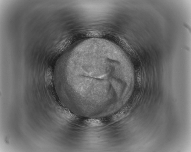 X0000096220322200802081531