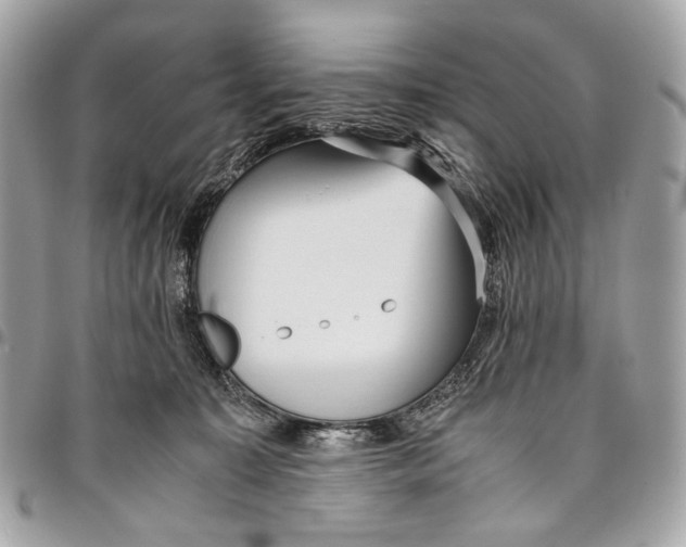 X0000096220323200802081531