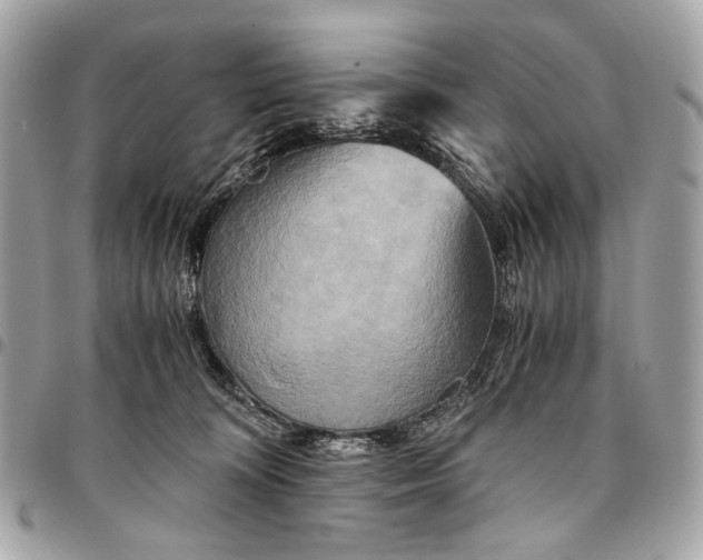 X0000096220324200802081531