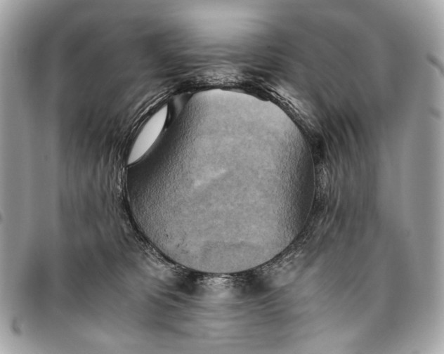 X0000096220325200802081531