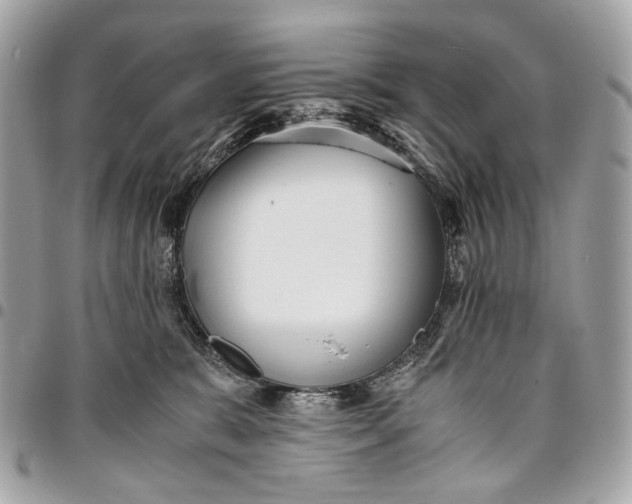 X0000096220327200802081531