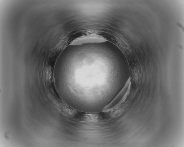 X0000096220328200802081531