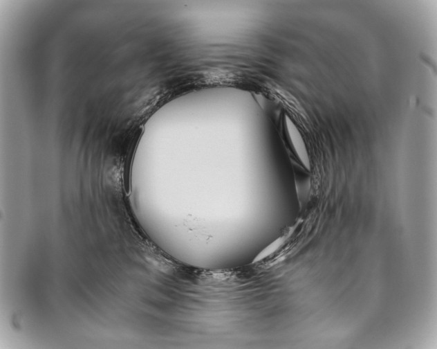 X0000096220329200802081531