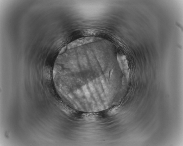 X0000096220331200802081531