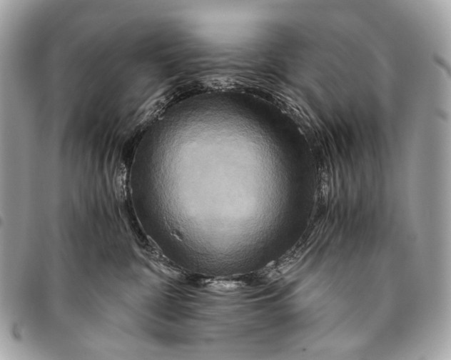 X0000096220332200802081531