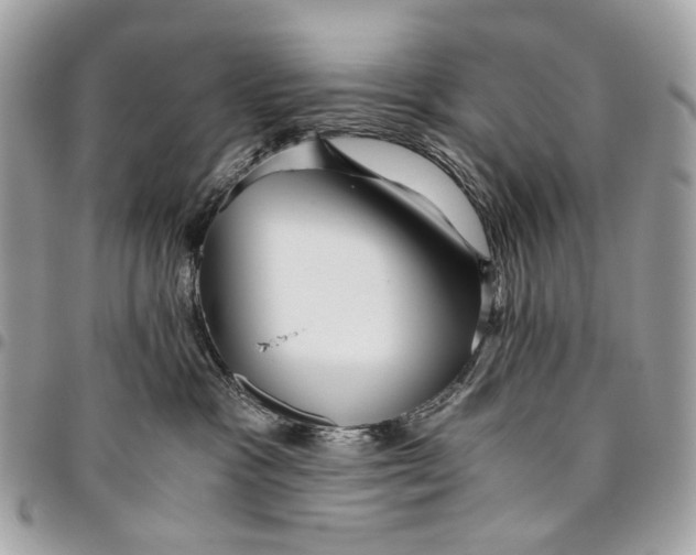 X0000096220333200802081531