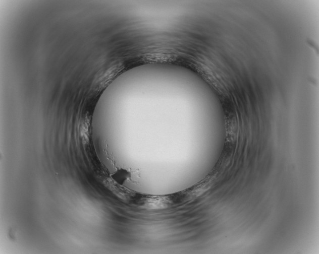 X0000096220334200802081531