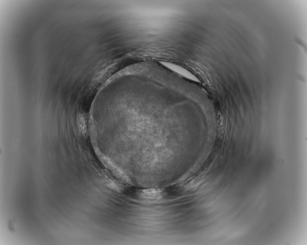 X0000096220335200802081531