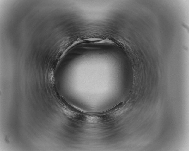 X0000096220336200802081531