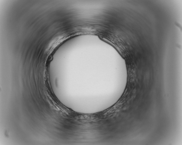 X0000096220338200802081530