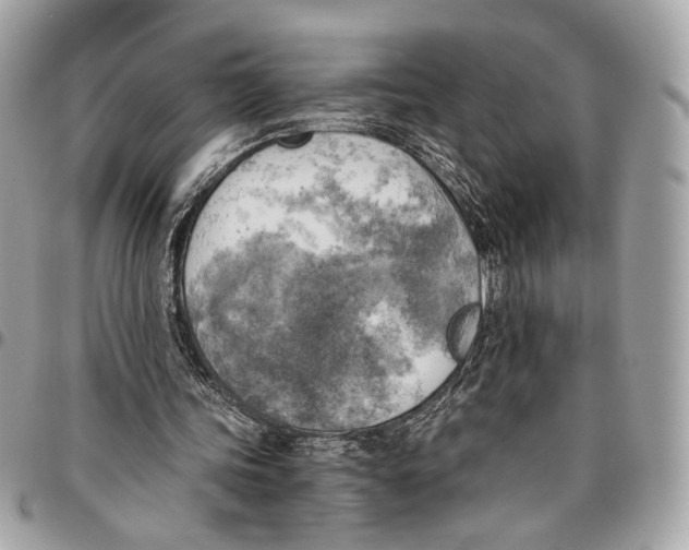 X0000096220339200802081530