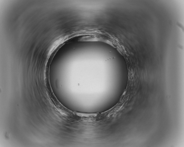 X0000096220340200802081530