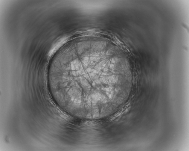 X0000096220341200802081530