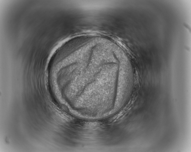 X0000096220342200802081530