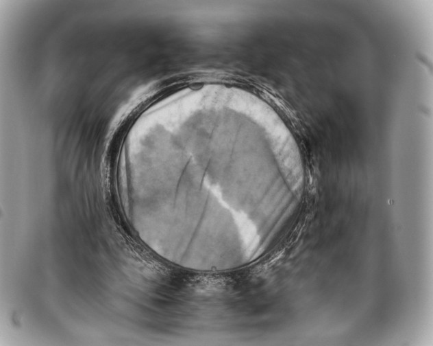 X0000096220343200802081530