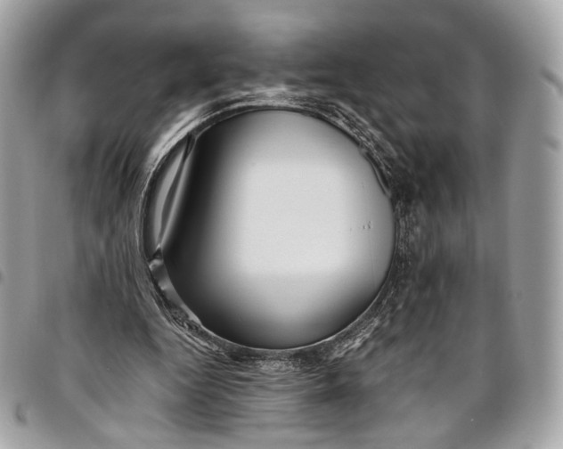 X0000096220344200802081530