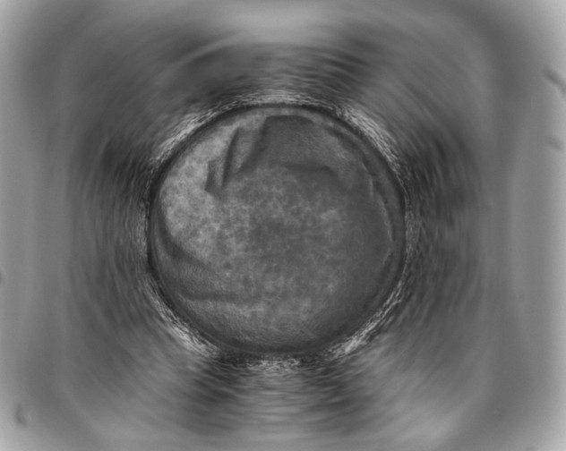 X0000096220345200802081530