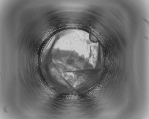 X0000096220347200802081530