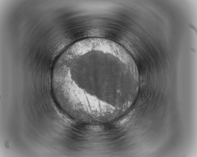 X0000096220349200802081530