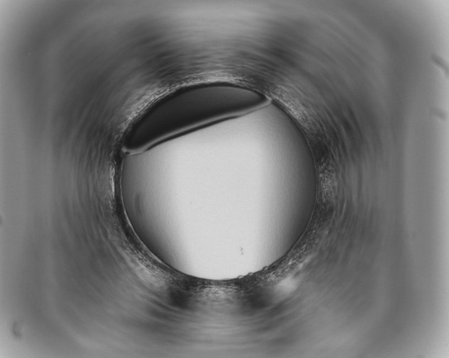 X0000096220350200802081530